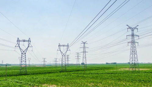 強化電力保障服務 助推用電營商環境優化升級