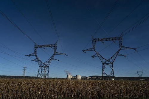電力公司在農村建電桿,占用了農田,農民能不能要補助
