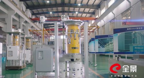 國內(nèi)市占率90 這家中國電力裝備企業(yè) 隱形冠軍 的實力是如何練就的